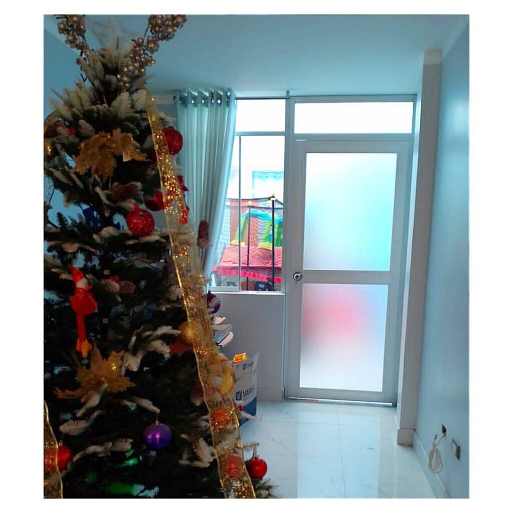 puerta clasica para hogar megadt