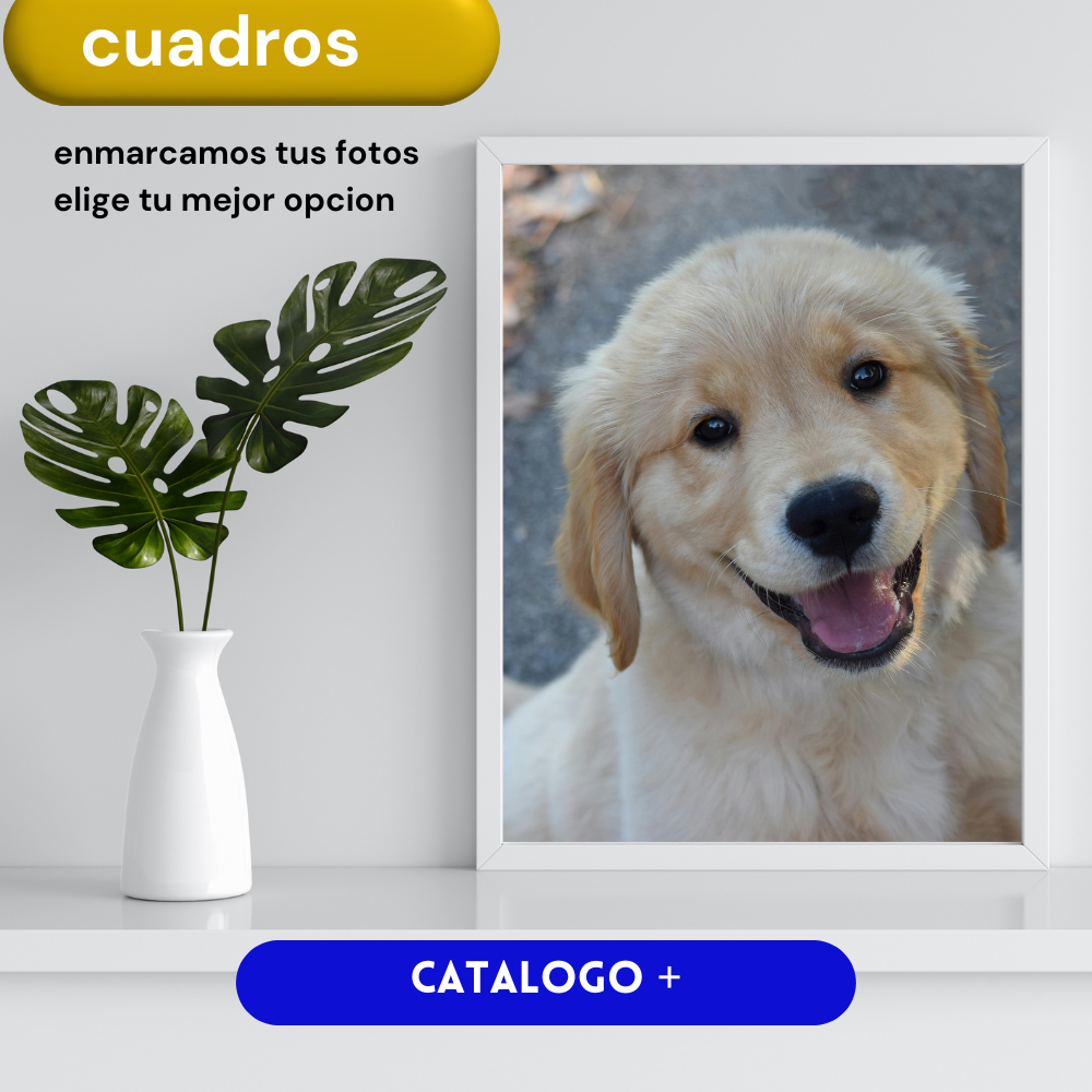 cuadros